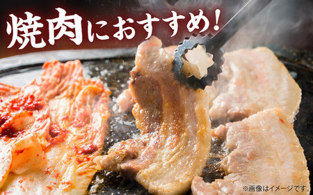 【スピード発送】豚肉 焼肉 500g [APAZ005] 豚肉