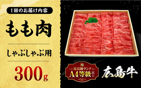【全12回定期便】牛肉 牛しゃぶ用 300g [APAZ068] 牛肉