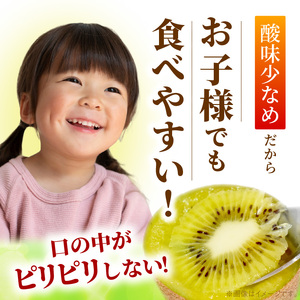 【2026年10月以降お届け】甘うぃ3kg箱_甘い キウイ 甘うぃ キウイフルーツ 3kg 国産 甘みの強い 果実 黄色味 福岡 オリジナル品種 濃厚 まろやか 高糖度 フルーツ 果物 ヨーグルト スムージー ジュース デザート 福岡県 久留米市 お取り寄せ お取り寄せフルーツ 送料無料 〔Fx018〕