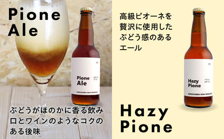 【全2回定期便】クラフトビール（地ビール）6種類[APCA003] ビール