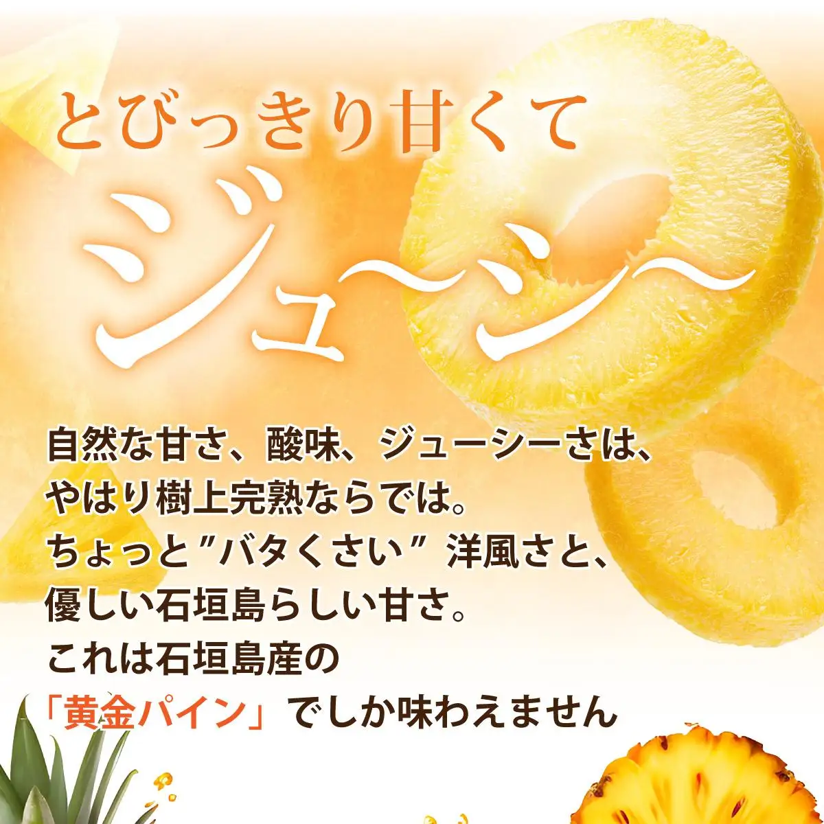 ＜先行予約＞ 石垣島産 黄金パイン 中玉 4玉 約5.2kg 