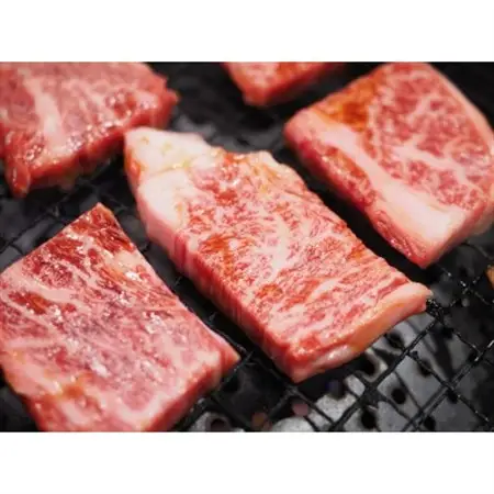 訳あり!【A4～A5】博多和牛焼肉切り落とし(肩ロース・バラ)　500g(水巻町)【配送不可地域：離島】【1417866】
