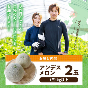河野FARM アンデスメロン2玉 _U143-0001
