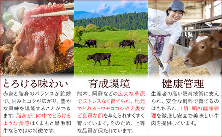 訳あり 【A4～A5】くまもと 黒毛和牛 赤身霜降り しゃぶしゃぶ すき焼き用（肩・モモ）800g 《30日以内に出荷予定(土日祝除く)》熊本県 大津町 黒毛和牛 肉 お肉 和牛 A5 A4 小分け MEAT PLUS