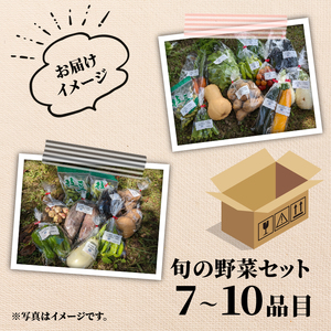 【先行受付】旬のお野菜セット 詰め合わせ （7～10品目） 旬 野菜 国産 こだわり野菜セット 京都府産野菜セット 京丹波町産野菜セット 季節 セット 野菜セット
