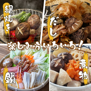 原木栽培 乾燥しいたけ 100g×2袋 計200g 原木 シイタケ しいたけ 椎茸 肉厚 芳醇 香り豊かなしいたけ 国産しいたけ 京都府産しいたけ 京丹波町産しいたけ きのこ 小分け うま味 おいしいしいたけ 食感 肉詰め 煮物 出汁 バター 醤油 炒め 10000円 一万円