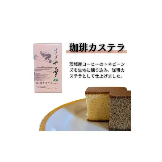 ジャパンバリスタチャンピオンシップ優勝者のいる珈琲専門店の自家焙煎コーヒー（DP）とカステラのセット【つくば市×牛久市×龍ケ崎市×利根町共通返礼品】
