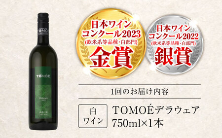 【全3回定期便】TOMOEデラウェア白ワイン[APAZ050] ワイン