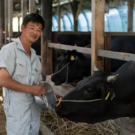 令和7年産 茨城県産 常陸牛農家が育てたコシヒカリ 精米 無洗米 個包装300g(2合)×3袋_ 無洗米 米 こめ コメ   コシヒカリ 米 こしひかり_【配送不可地域：離島・沖縄県】【1601850】