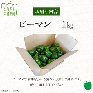 【予約受付】肉厚ジューシー！栽培期間中化学農薬・化学肥料不使用のえぐみ少ないピーマン1kg ／Fms-13 農産物 新鮮 肉厚ピーマン 野菜 大量