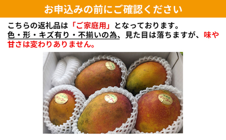 【先行受付】【2026年発送】ヤマト農園 アップルマンゴー訳あり約2kg（4～6玉）- 先行予約 沖縄県産 産地直送 南国フルーツ 旬の味覚 季節の果物 ご自宅用 訳アリ 沖縄マンゴー 沖縄県 八重瀬町【価格改定】