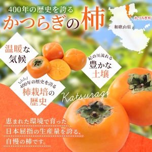 【先行予約】富有柿 2kg～2.5kg 6個入 至高の逸品 約1000個に１個！ 2026年10月初旬頃から11月中旬頃に順次発送予定（お届け日指定不可）/ 和歌山 柿 かき フルーツ 果物 くだもの 刀根 種無し【kgr013】