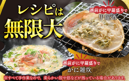 【トライアル返礼品】【訳あり】釜茹で　蟹好き集まれ！越前がに【甲羅盛145g前後 】 [A-096021] / かに カニ 蟹 ガニ 越前かに 越前がに 甲羅盛 かに酢 手軽 訳アリ 
