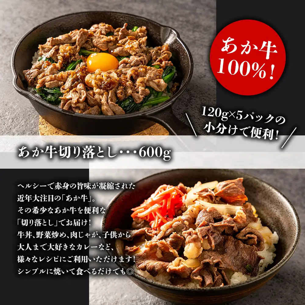 熊本特産大満喫！ 馬刺し＆あか牛切り落としセット（馬刺し400g&切り落とし600g） 赤牛  切り落とし 牛肉 冷凍  くまもと 和牛 国産 赤身 上赤身　新鮮馬肉　赤身馬刺し　国産赤身馬刺し　刺身　熊本名物　馬肉ブロック 冷凍 馬刺し 馬肉メイン料理 おもてなし ご褒美 記念日 贈答用 贈り物 ギフト プレゼント お祝い 行事 晩酌 豪華 熊本県 阿蘇市