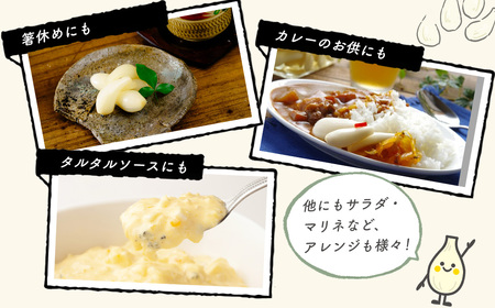 【数量限定】 伊豆 天城農園 青い鳥 グランパ 梅干し 160g×2パック・グランマ らっきょうの甘酢漬け 130g×2パック 【梅 無添加 減塩 らっきょう 数量限定 】