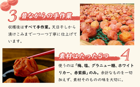 【数量限定】 伊豆 天城農園 青い鳥 グランパ 梅干し 160g×4パック 【梅 無添加 減塩 数量限定 】015-007