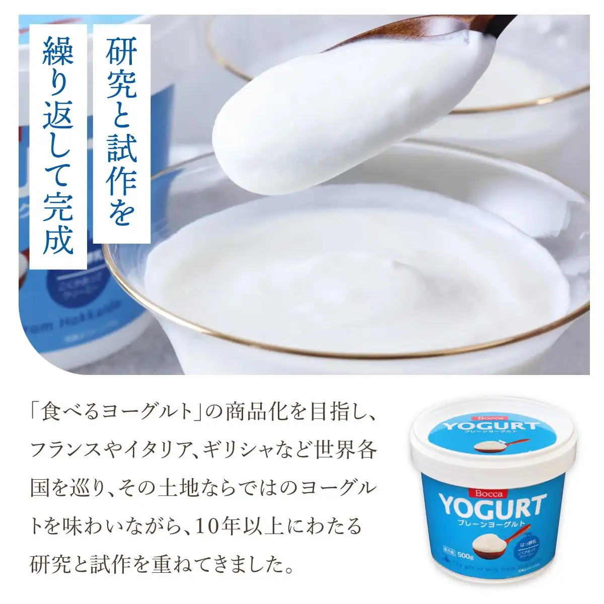 [5525-1206]北海道 牧家 Bocca ヨーグルト 500g 6個 計3.0kg 生乳 ミルク 練乳 濃厚 デザート スイーツ おやつ 乳製品 冷蔵