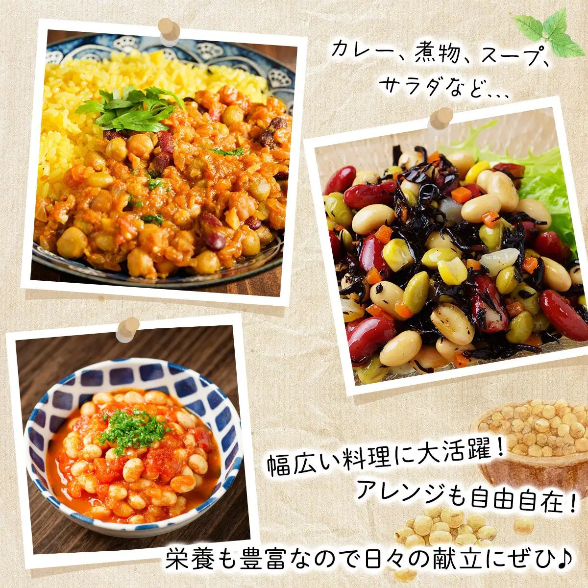 [5525-1207]なまら推し大豆 12缶 大豆のドライパック 缶 北海道産 苫小牧 広域 缶詰 長期保存可 常温 非常食