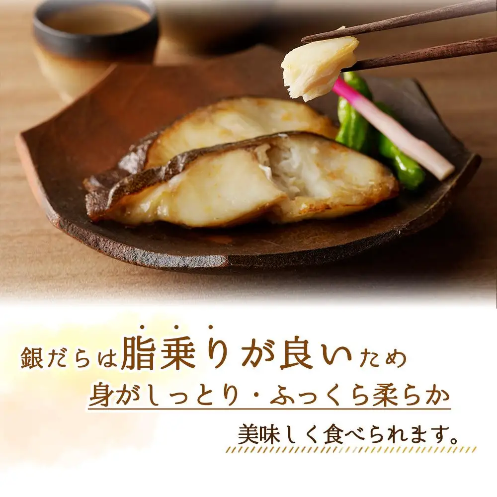 和歌山魚鶴仕込みのだし漬け天然銀だら切身6切＆銀鮭切身6切 （真空パック入）  小分け