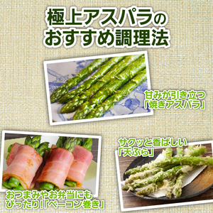 《令和8年産先行予約》朝取りアスパラ 1kg アスパラガス  hoshino001