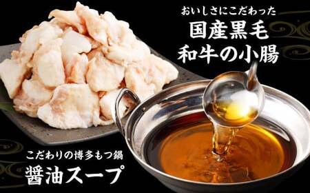 国産 黒毛和牛もつ鍋（醤油味） 6人前 冷凍ちゃんぽん・濃縮スープ付＋ハーブ育ちチキン使用！水炊き4人前 合計10人前 もつ ホルモン 鍋 お鍋 セット 冷凍 岡垣町