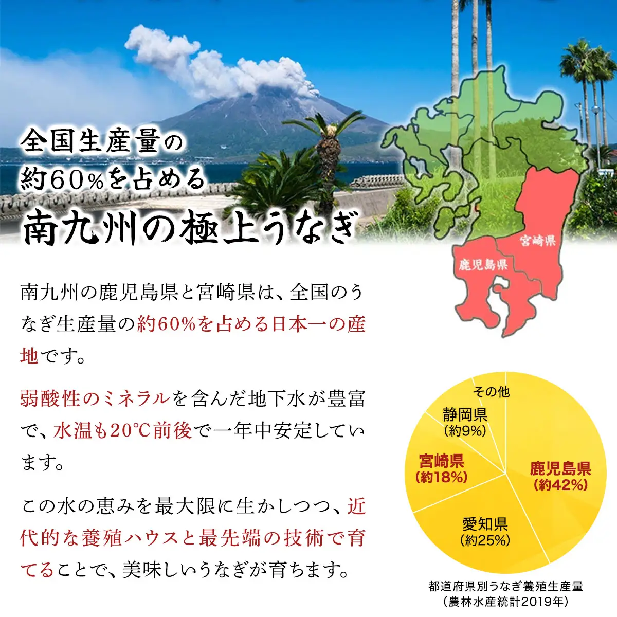 国産 うなぎ 蒲焼き（無頭 約180g前後）×3尾 タレ＆山椒付 [024-a370]
