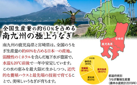 国産 うなぎ 蒲焼き（無頭 約180g前後）×3尾 タレ＆山椒付 贈答用BOX入り[024-a371]
