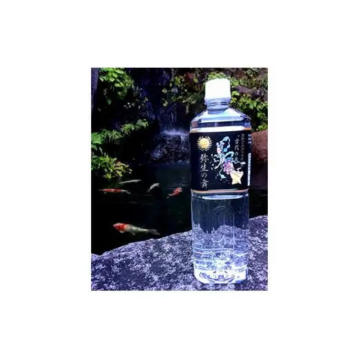 【12ヶ月定期便】奇跡の飲む温泉水「真木温泉 弥生の舞」　飲泉力500ml 24本入り