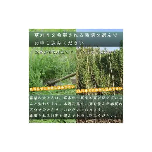 山梨県大月市 空き家・管理地の草刈り代行 夏季(7-11月) 4時間 2名 100坪まで 対象エリア大月市 地域密着 くさかり 草引き 除草 草刈