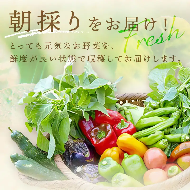 【先行予約：6月配送】＜てんとうむしばたけ＞初夏のオーガニック野菜セット　有機野菜6～7種前後