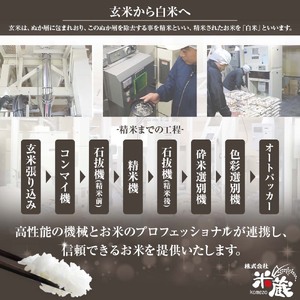 米 コシヒカリ 2026年8月より順次発送 令和8年産 新米 内容量10kg  白米 精米 お米 ご飯 ごはん おにぎり こめ こしひかり 高知県産 美味しい おいしい  常温  故郷納税 高知 土佐清水市【R01606】