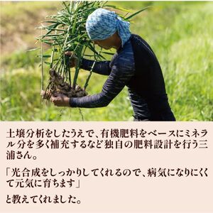 【予約受付】ミネラル豊富なエコ栽培の生姜1kg ／Fms-20 しょうが ジンジャー おかず 野菜 大容量
