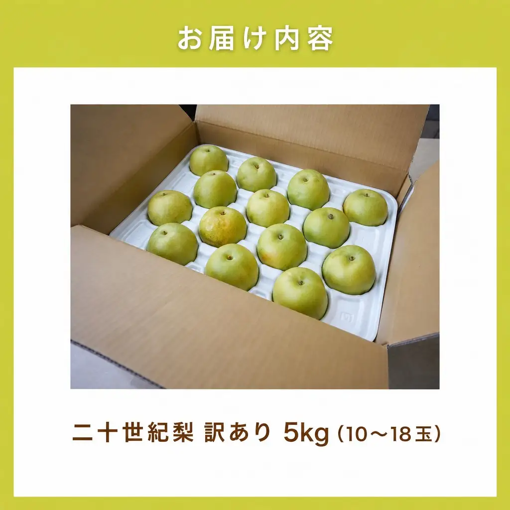 【先行予約】 2026年度産 梨 訳あり 二十世紀梨 5kg（10～18玉）サイズバラつき有り（L～5L）生産者応援商品 【令和8年9月上旬以降発送予定】 20世紀梨 フルーツ 果物  12-23