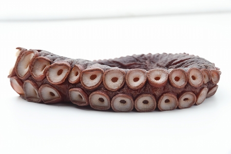 津軽海峡産ボイルミズダコ足　1.2kg
