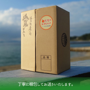 【2027年4月中旬から発送】南津海・カラマンダリン約2.5kg 大中小サイズ混合 家庭用B品合 | 柑橘 松山市産ミカン みかん 果物 くだもの ミカン 蜜柑 フルーツ おすすめ 小玉みかん お取り寄せみかん 期間限定 数量限定 ご当地 愛媛県 松山市【RNK015】