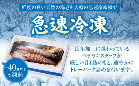 〈高級〉KING SEA TIGER 王の海老2尾・K305-12