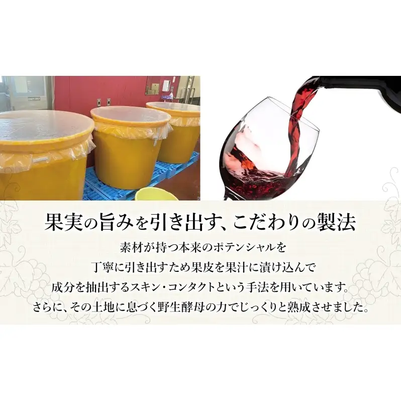 スチューベンナチュラル 750ml 2本 セット ワイン 赤ワイン スチューベン お酒 果実酒 アルコール 自然派 スキンコンタクト 野生酵母 晩酌 お祝い 記念日 贈り物 ギフト 手土産 ご当地 お取り寄せ 送料無料 青森県 西目屋村