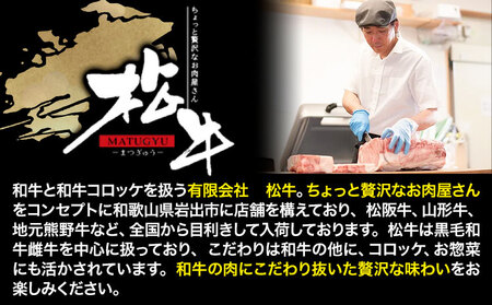 ハンバーグ 肉 黒毛和牛 ハンバーグ 天空和牛ハンバーグ 約500g (約100g×5個)《30日以内に出荷予定(土日祝除く)》有限会社松牛 和歌山県 紀の川市 熊野牛 紀の川天空和牛 惣菜 おかず
