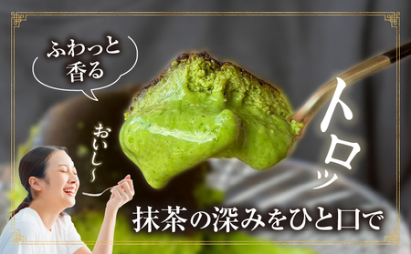 西尾抹茶バスクチーズケーキ・T110 