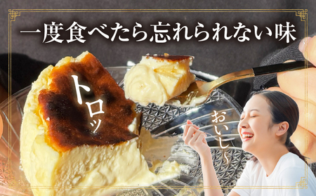 究極のとろけるバスクチーズケーキ　2点セット・T113