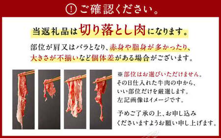 佐賀牛 切り落とし 1.2kg（600g×2パック）和牛 国産 肉 お肉 バラ 肩 セット 選べる 便利 料理 冷凍 九州 福岡