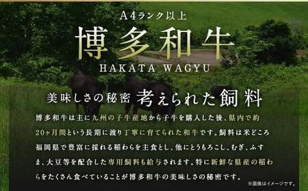 訳あり 佐賀牛 ＆ 博多和牛 切り落とし 1.8kg（佐賀牛600g×2パック、博多和牛600g×1パック）国産 和牛 牛肉 お肉 肉 冷凍