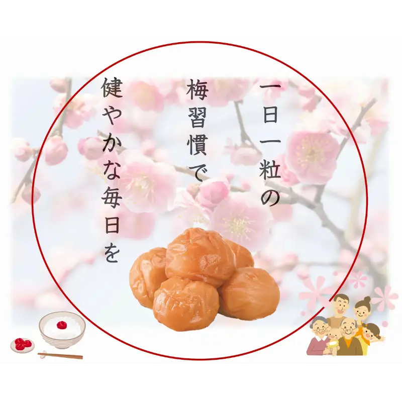 紀州南高梅 「花」 塩分約6％ 850g ［YM8m］【yamada001A】