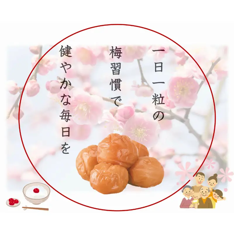 紀州南高梅 プレミアム 塩分約3％ 850g ［YM12m］【yamada011A】