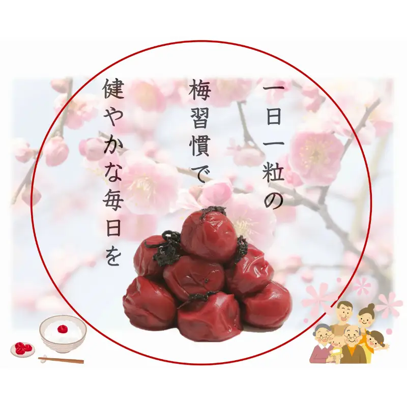 紀州南高梅 しそプレミアム塩分約6％ 500g ［YM13m］【yamada004A】