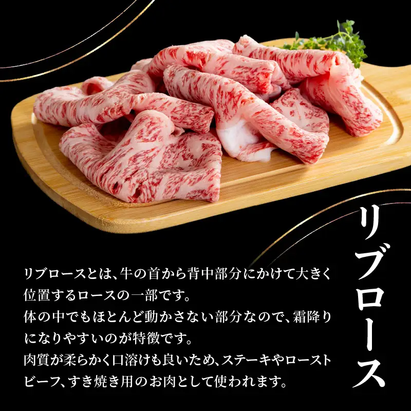 おおいた和牛 リブローススライス 520g A01140