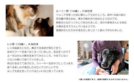 【3回定期便】 森のジビエ for PET 鹿肉 2kg ペットフード 犬 猫 A-JK-B02H
