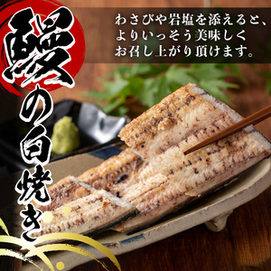 国産！うなぎ白焼き(4尾・タレ付き) 国産 九州産 鰻 ウナギ 無頭 魚 魚介類 かばやき 蒲焼 蒲焼き しろやき 白焼 おかず 特産品 お土産 ギフト プレゼント 冷蔵 【尾方屋】_y509