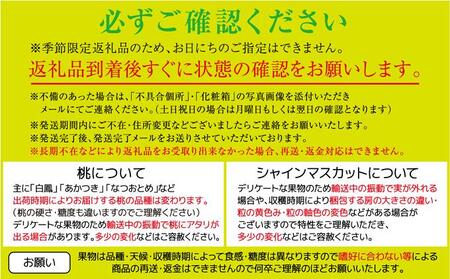 【定期便全2回】旬の フルーツ定期便 (桃 シャインマスカット)【もも 葡萄 ぶどう 旬 人気 果物 くだもの フルーツ 香川県】