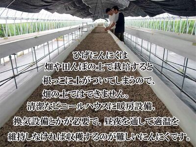黒ひげにんにく玉 15袋（1袋60粒入） / 佐賀県 / 日本にんにく [41AAAO014]